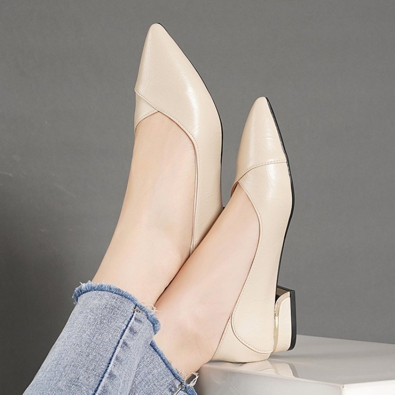 2026 Lente en Herfst Nieuwe Pu - Slingback Pumps Women recensie en prijs